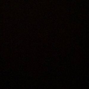 Meet your Posher, Oscar